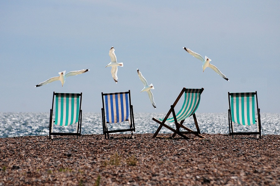 Seagulls at the beach